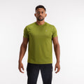 color:olive