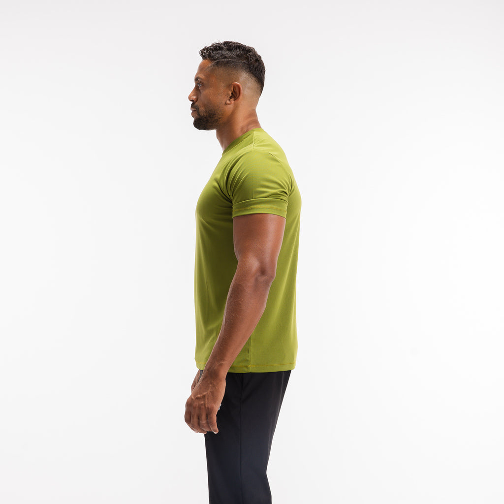 color:olive